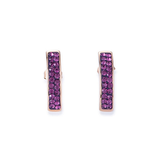 Boucles d'oreilles Coeur de lion en acier et oxydes de zirconium violets